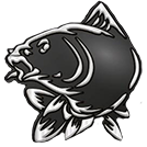 logo_v.png
